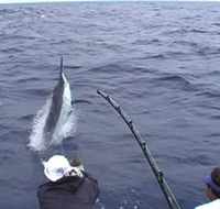Amokura Charters - Goulburn Accommodation