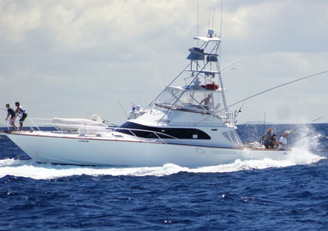 Amokura Charters - Goulburn Accommodation 2