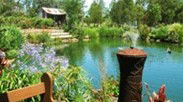 Gone Walkabout Safaris - Goulburn Accommodation 0