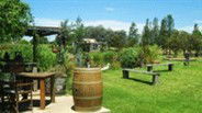 Gone Walkabout Safaris - Goulburn Accommodation 2