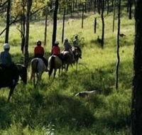 Hunter Valley Horse Riding and Adventures - Goulburn Accommodation