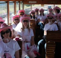 Newcastles Famous Tram - Goulburn Accommodation