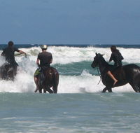 Pegasus Park Equestrian Centre - Goulburn Accommodation