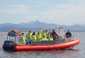 Byron Bay Whale Watching - Goulburn Accommodation 2