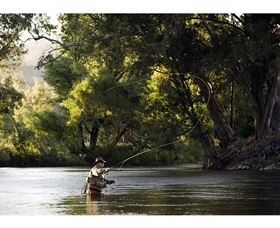 Fly Fishing Tumut - Goulburn Accommodation 1