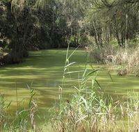Second Ponds Creek walk - Goulburn Accommodation