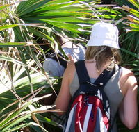 Palm Jungle loop track - Goulburn Accommodation