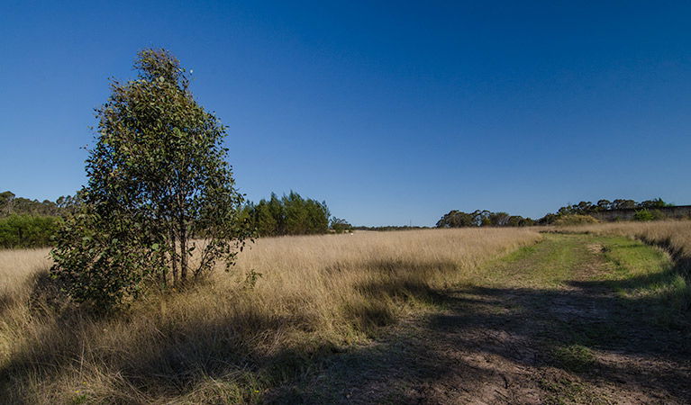 Oakville NSW Goulburn Accommodation