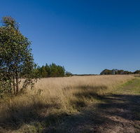Scheyville horse riding trails - Goulburn Accommodation