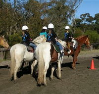 Darkes Forest Riding Ranch - Goulburn Accommodation