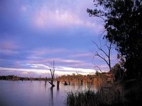 Loch Luna Game Reserve And Moorook Game Reserve - Goulburn Accommodation 0