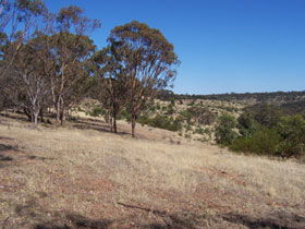 Onkaparinga River National Park - Goulburn Accommodation 0