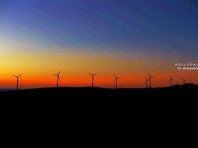 Starfish Hill Windfarm - Goulburn Accommodation 0