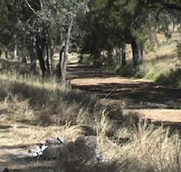 Chudleigh Park Gem Fields - Goulburn Accommodation