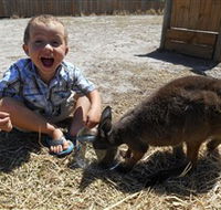 Animal Farm Goolwa - Goulburn Accommodation