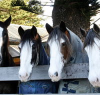 Victor Harbor Horse Drawn Tramway - Goulburn Accommodation