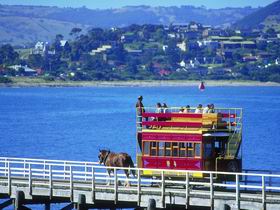 Granite Island Recreation Park - Goulburn Accommodation 0