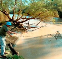 Charleville - Ward River Fishing Spot - Goulburn Accommodation