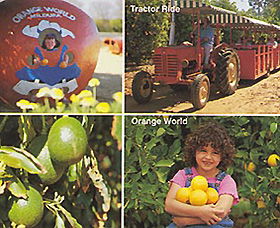 Orange World - Goulburn Accommodation 1