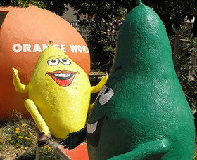 Orange World - Goulburn Accommodation 0