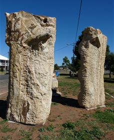 Fossilised Forrest Sculptures - Goulburn Accommodation 0