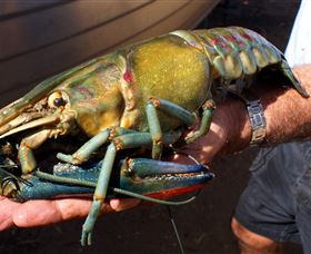 Fairbairn Dam, Lake Maraboon - Goulburn Accommodation 3