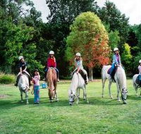 Limestone Coast Horseriding - Goulburn Accommodation