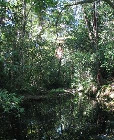 Wabunga Wayemba (Charmillan Creek Walking Track) - Goulburn Accommodation 0