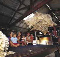Shear Outback the Australian Shearers Hall of Fame - Goulburn Accommodation