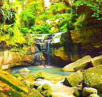 Carnarvon Gorge Carnarvon National Park - Goulburn Accommodation