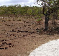 Wurrwurrwuy Garanhan Macassan Beach Interpretive Walk - Goulburn Accommodation