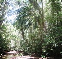 Mount Lewis National Park - Goulburn Accommodation