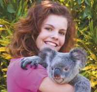 Kuranda Koala Gardens - Goulburn Accommodation