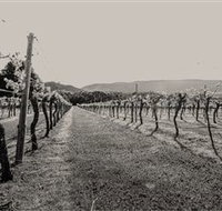 Halls Gap Estate - Goulburn Accommodation