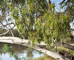 Beach To Beach Riverside Walk - Goulburn Accommodation 6