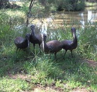 East Tolans Farm Tour - Goulburn Accommodation