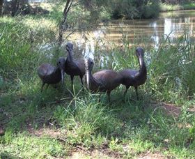 East Tolans Farm Tour - Goulburn Accommodation 0