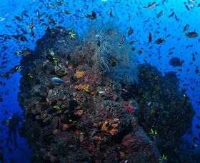 SS Yongala Dive Site - Goulburn Accommodation 1