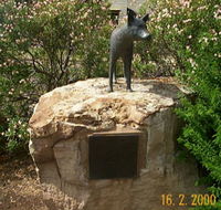 Dingo Statue - Goulburn Accommodation