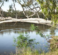 Murray Valley National Park - Goulburn Accommodation