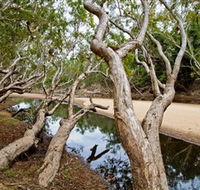 Oyala Thumotang National Park CYPAL - Goulburn Accommodation