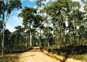 Paddys Ranges State Park - Goulburn Accommodation 0