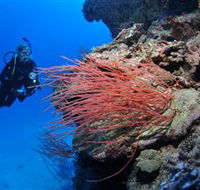 Three Sisters Dive Site - Goulburn Accommodation