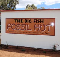 Big Fish Fossil Hut at Peak Hill - Goulburn Accommodation