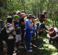 Warrumbungle National Park Discovery Program - Goulburn Accommodation