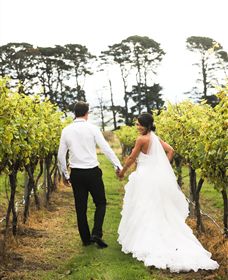 Quoin Hill Vineyard - Goulburn Accommodation 2