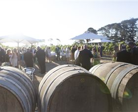 Quoin Hill Vineyard - Goulburn Accommodation 6