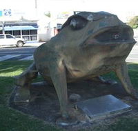 Big Cane Toad - Goulburn Accommodation