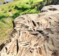 Terramungamine Rock Grooves - Goulburn Accommodation