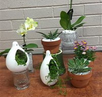 Cobram Florist - Goulburn Accommodation